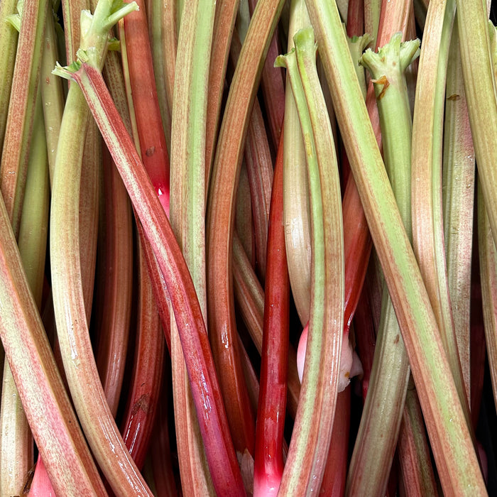 Local Rhubarb