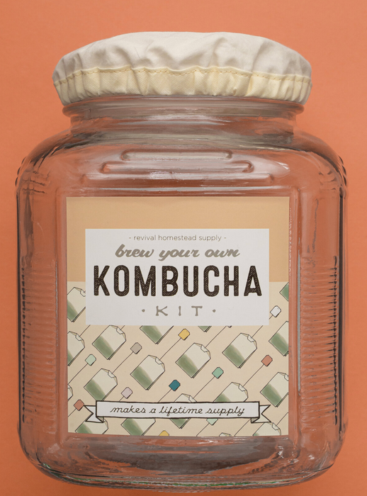 Brew Your Own Kombucha Kit