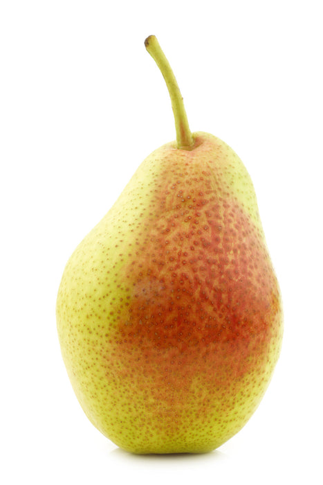 Organic Forelle Pear, each