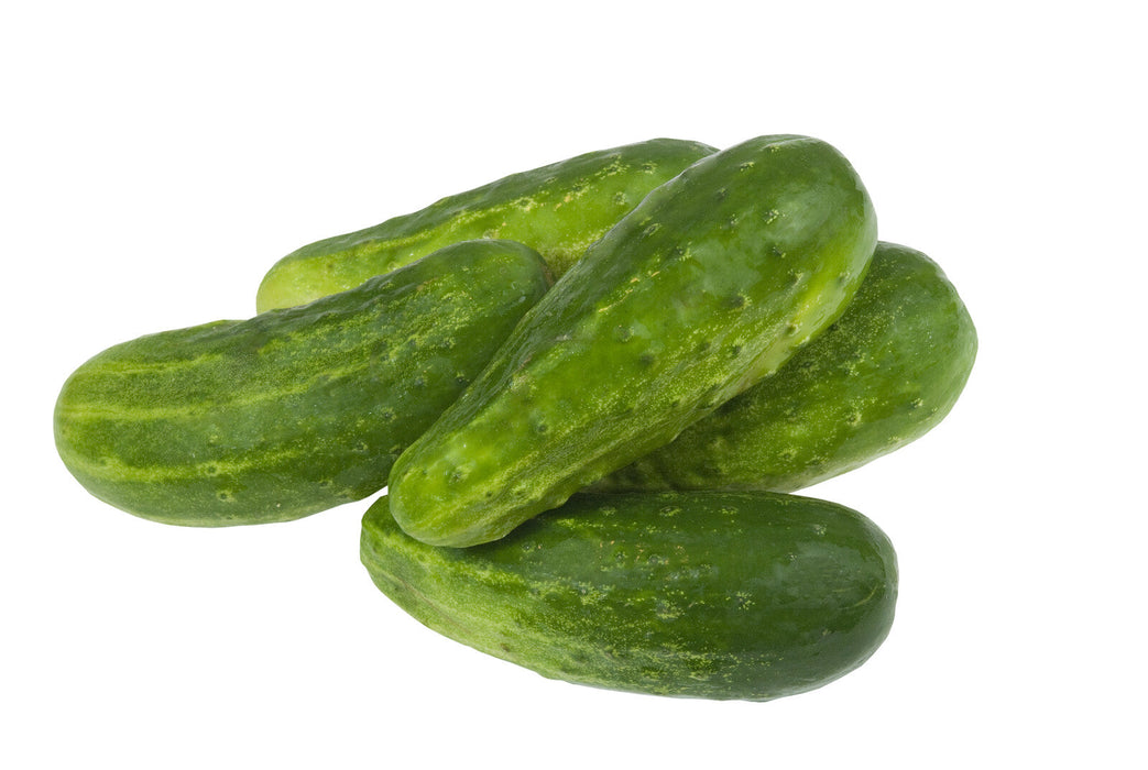 Organic Mini Cucumber, 1 pound