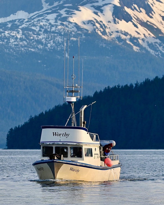 Local Glacier Bay Halibut