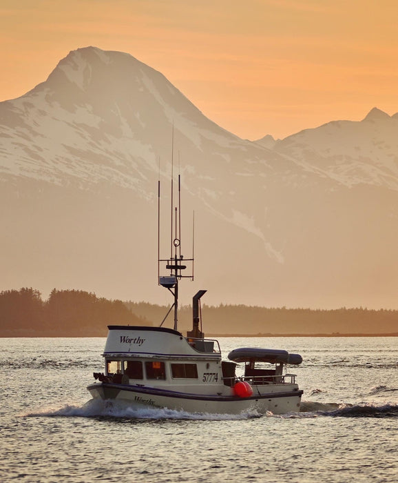 Local Glacier Bay Halibut