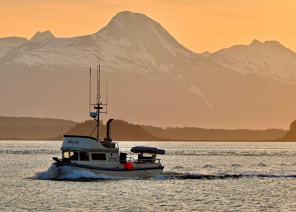 Local Glacier Bay Halibut