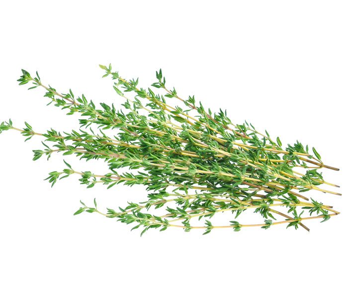 Organic Thyme, bundle