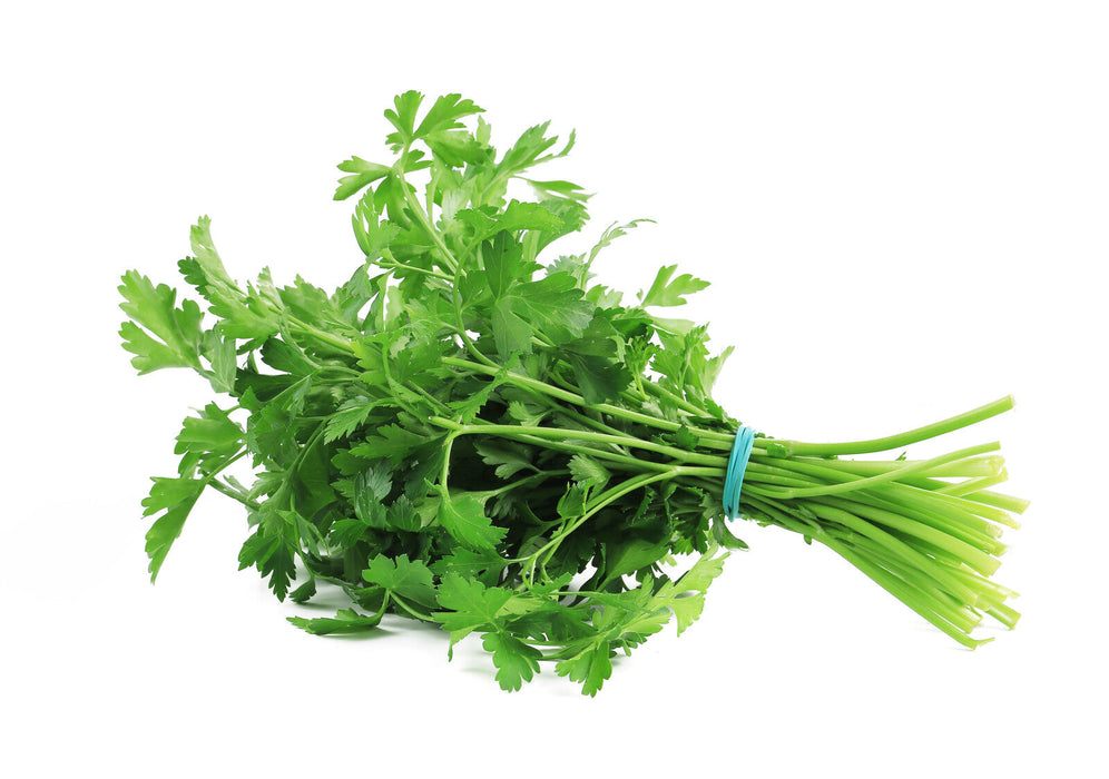 Organic Italian Parsley,. bunch