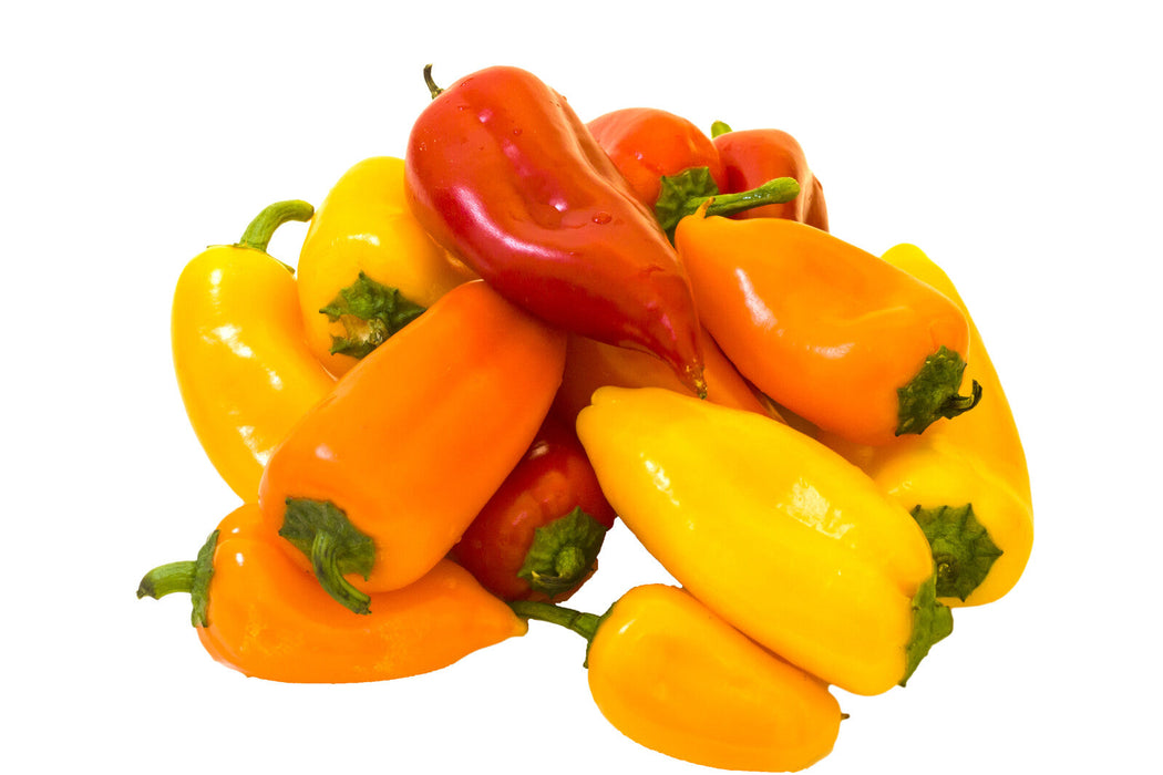 Organic Mini Mix Peppers, 1 pound