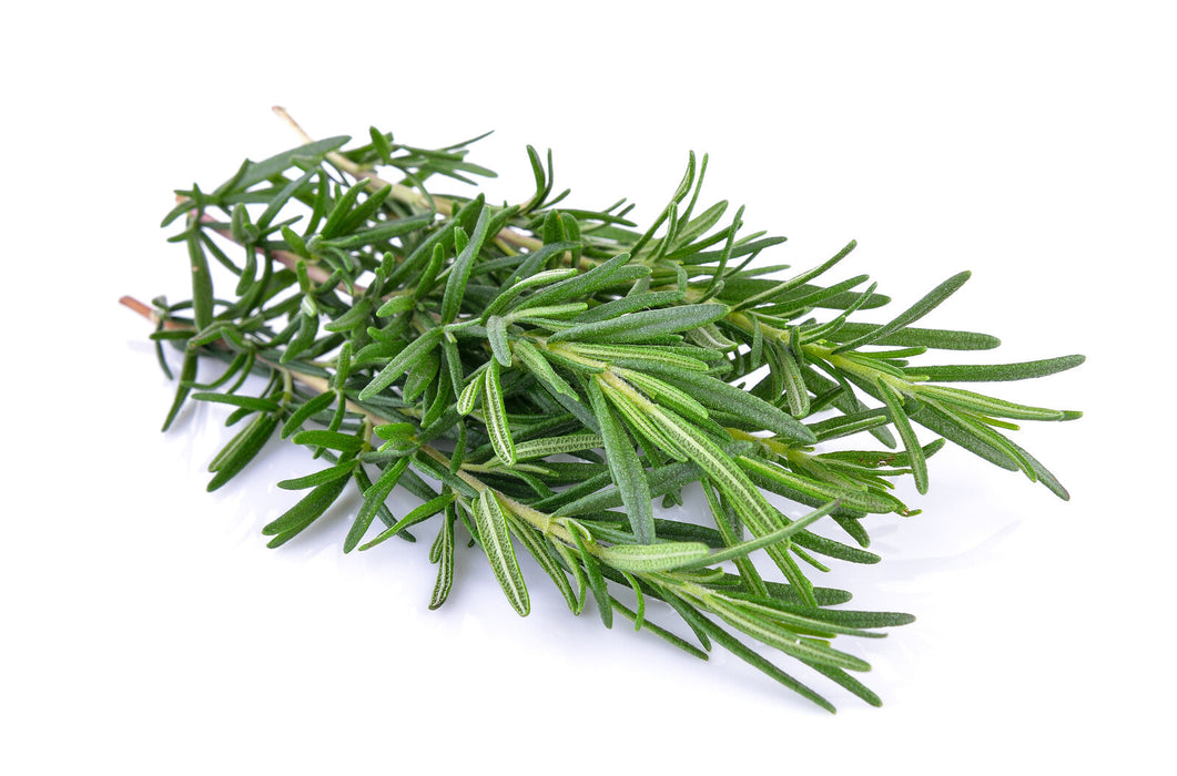 Organic Rosemary, bundle