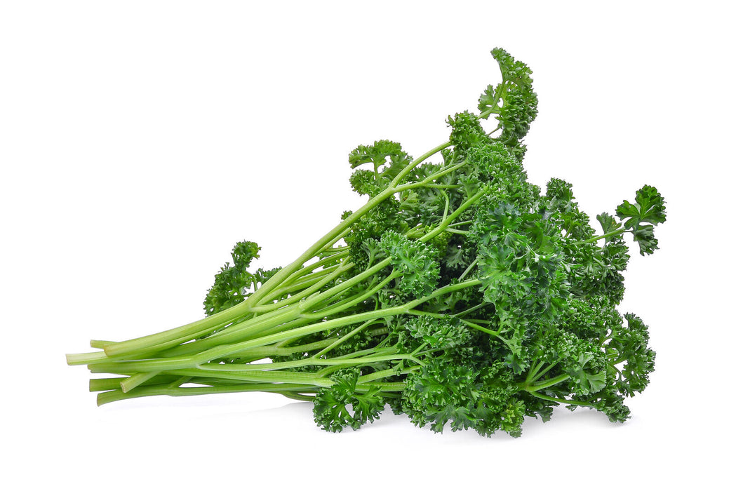 Organic Curly Parsley, bunch