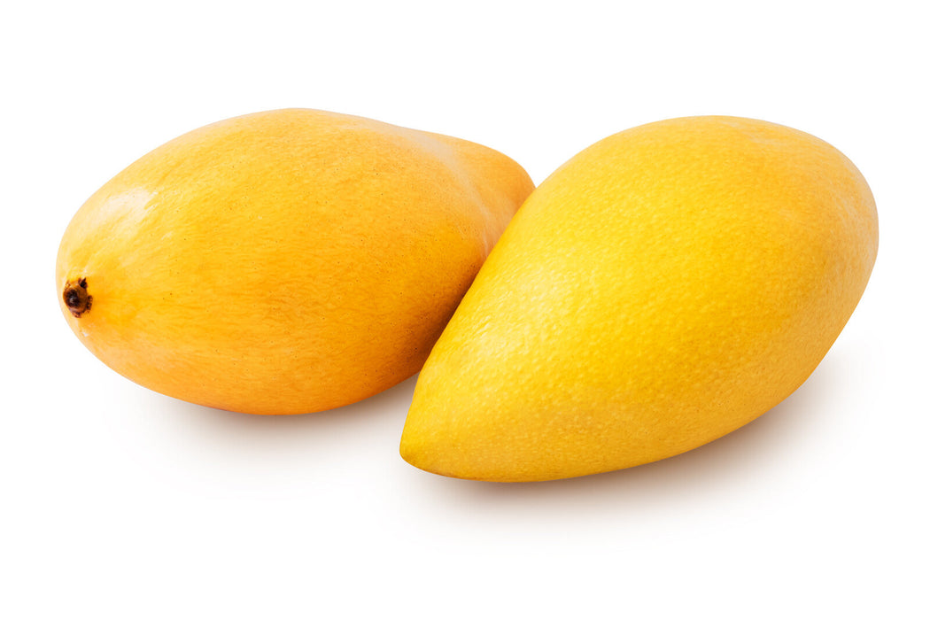 Organic Ataulfo Mango, each