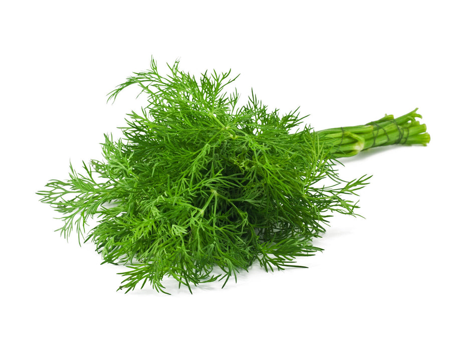 Organic Dill, bunch