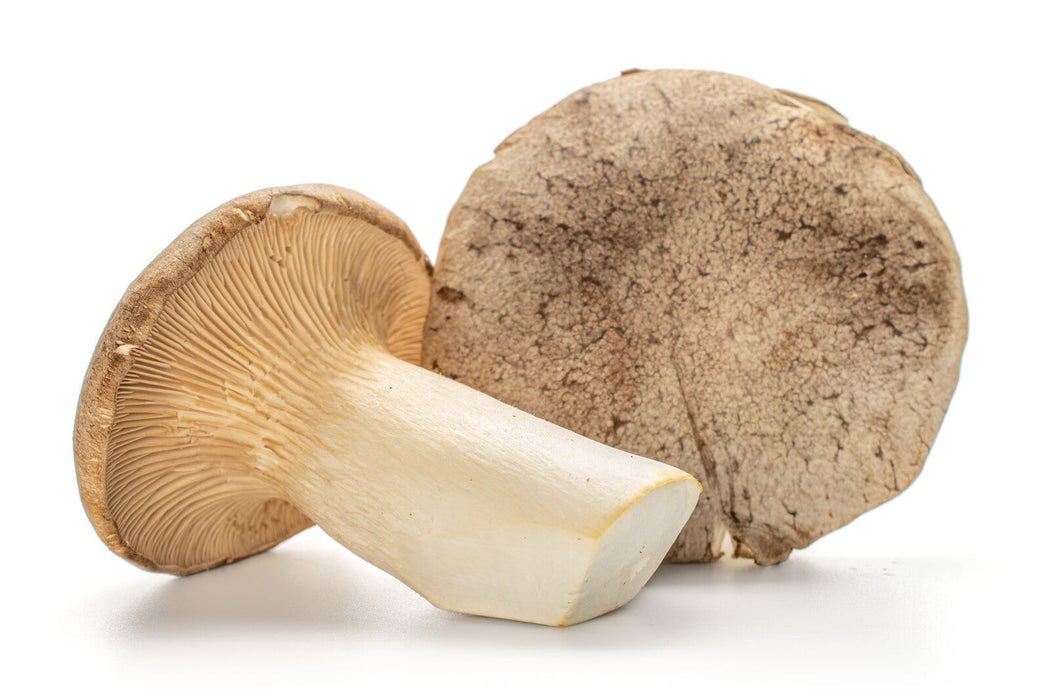 Organic Trumpet Royal Mushrooms, 1/2 lb.