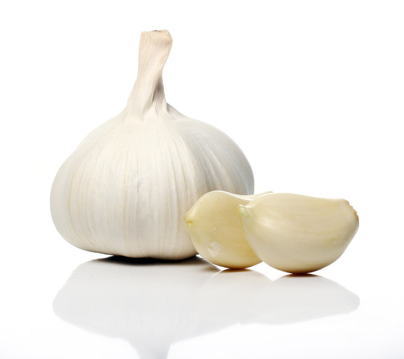 Organic Garlic, bulb