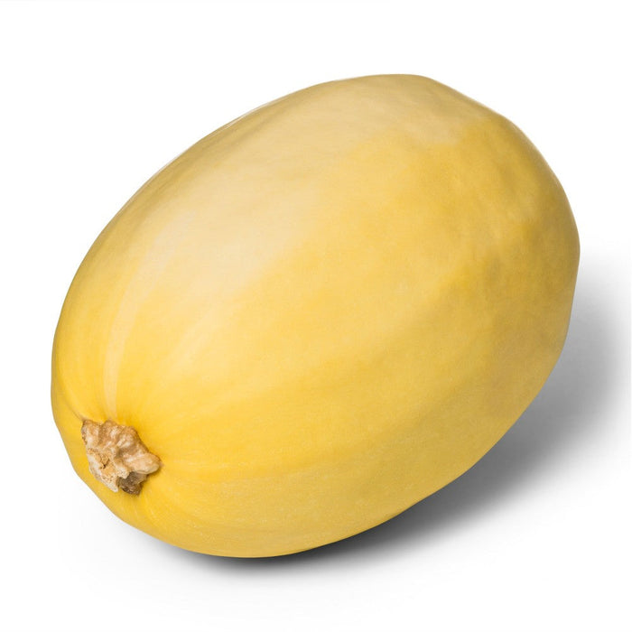 Organic Spaghetti Squash, each